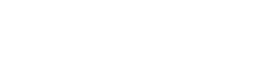 Vive Boletos